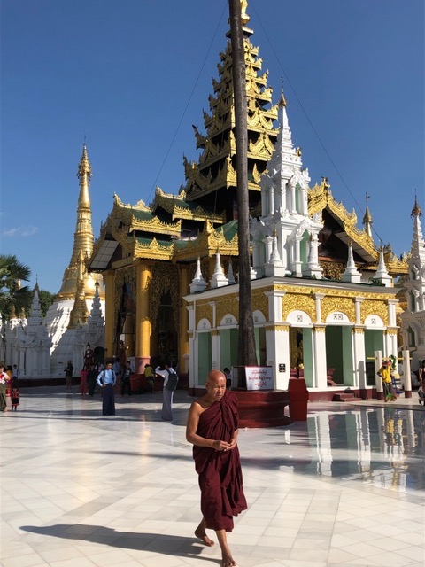 Yangon: Shwedagon Paya