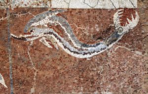 Archeologia, mosaico delfino