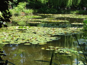 ninfee Giverny Monet