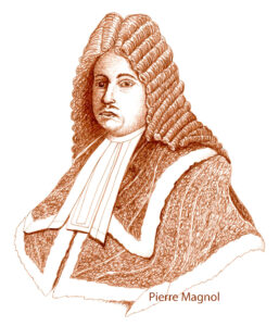Pierre Magnol