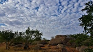 paesaggio della Namibia