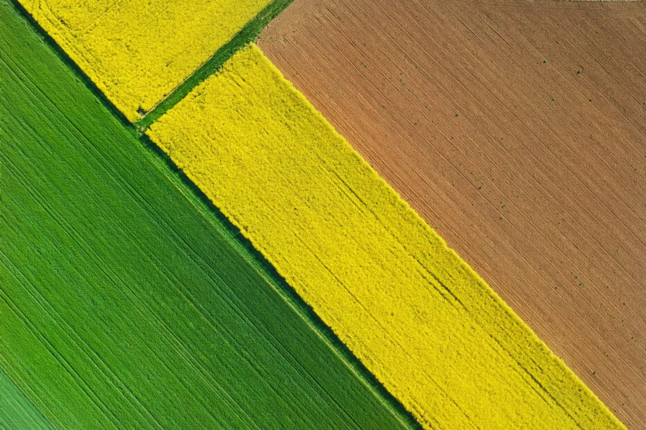 marche campagna