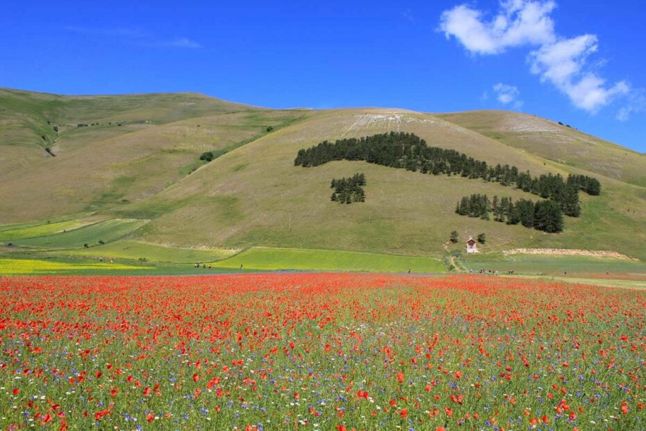 castelluccio italia