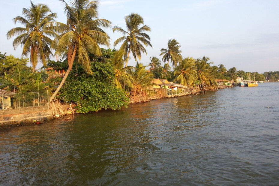 Negombo Srilanka