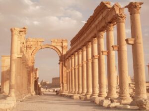 palmyra