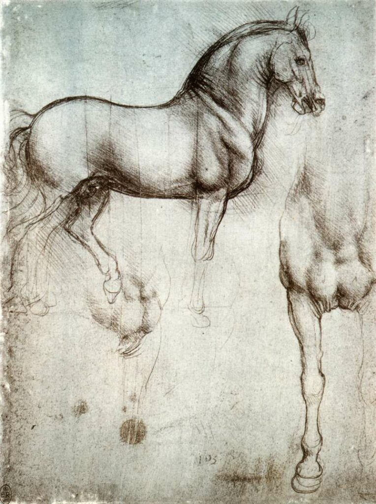 Leonardo da Vinci, studio di cavallo