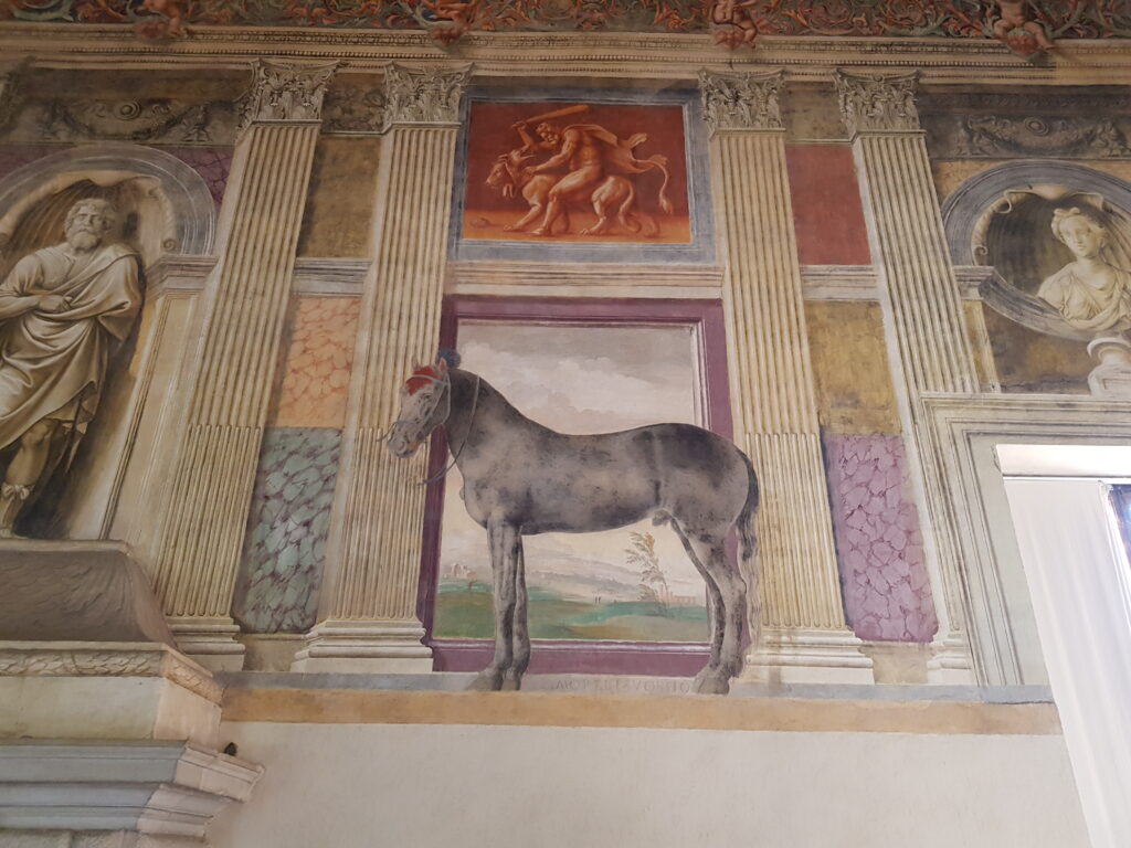 Giulio Romano. Sala dei cavalli - Palazzo Te, Mantova (foto di Cesare Castagnari)