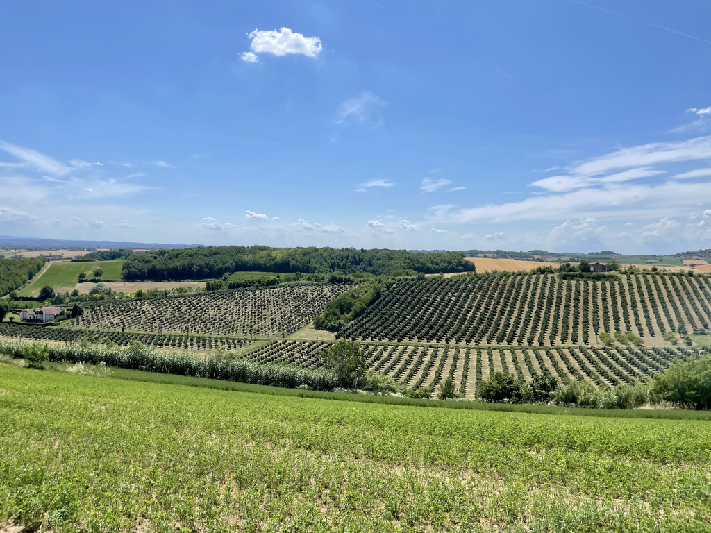 Piemonte Monferrato