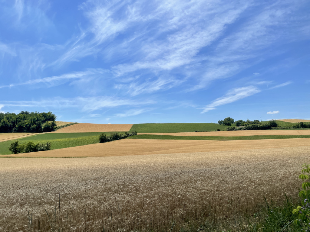 paesaggio del monferrato