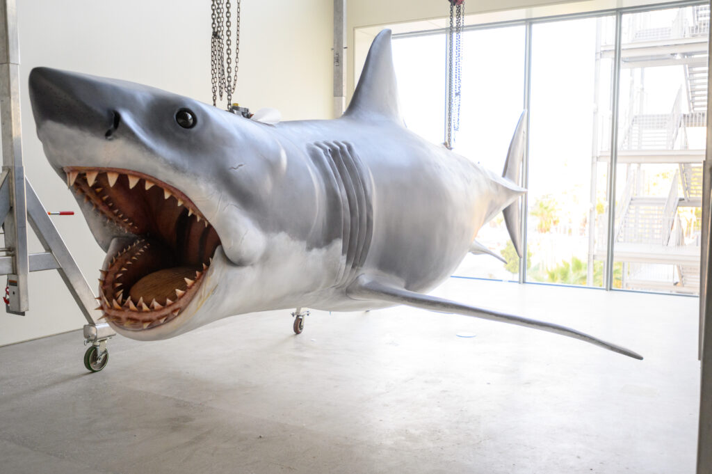 Bruce the Shark, installation at the Academy Museum of Motion Pictures in Los Angeles, November 2020 - Photo by Todd Wawrychuk©Academy Museum Foundation