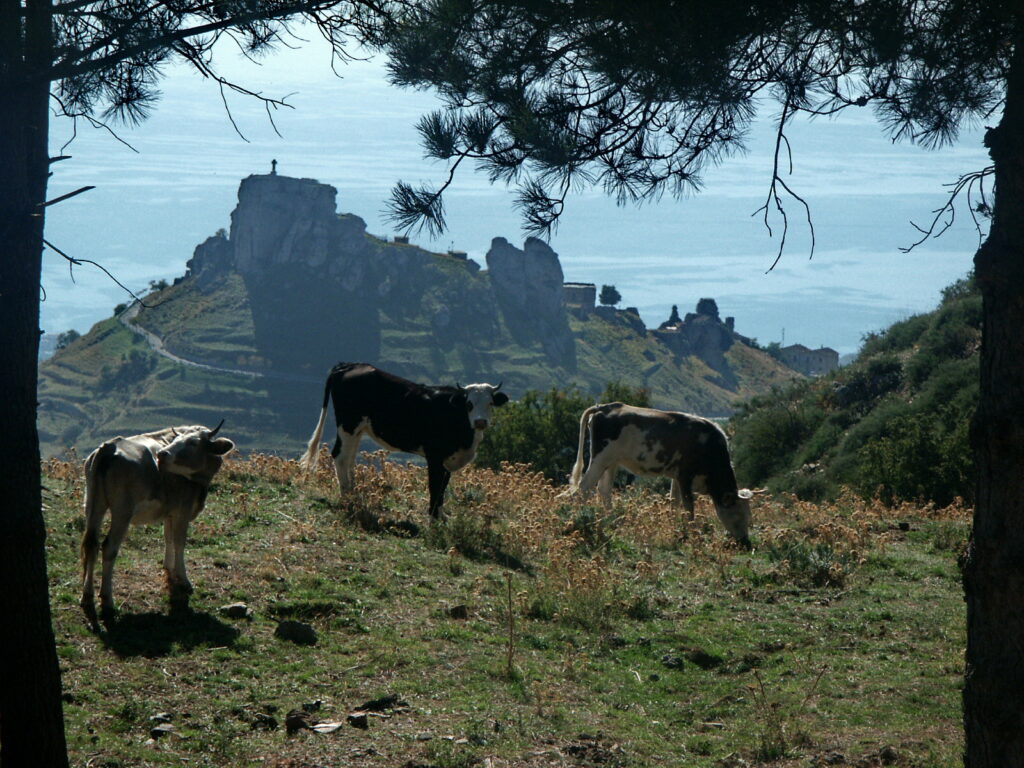 Area grecanica della Calabria. La rocca di Bova