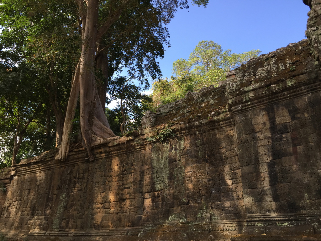 Ta Prohm 