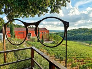 caiarossa cantine toscana