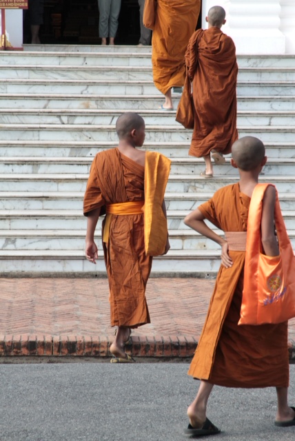 monaci luang prabang