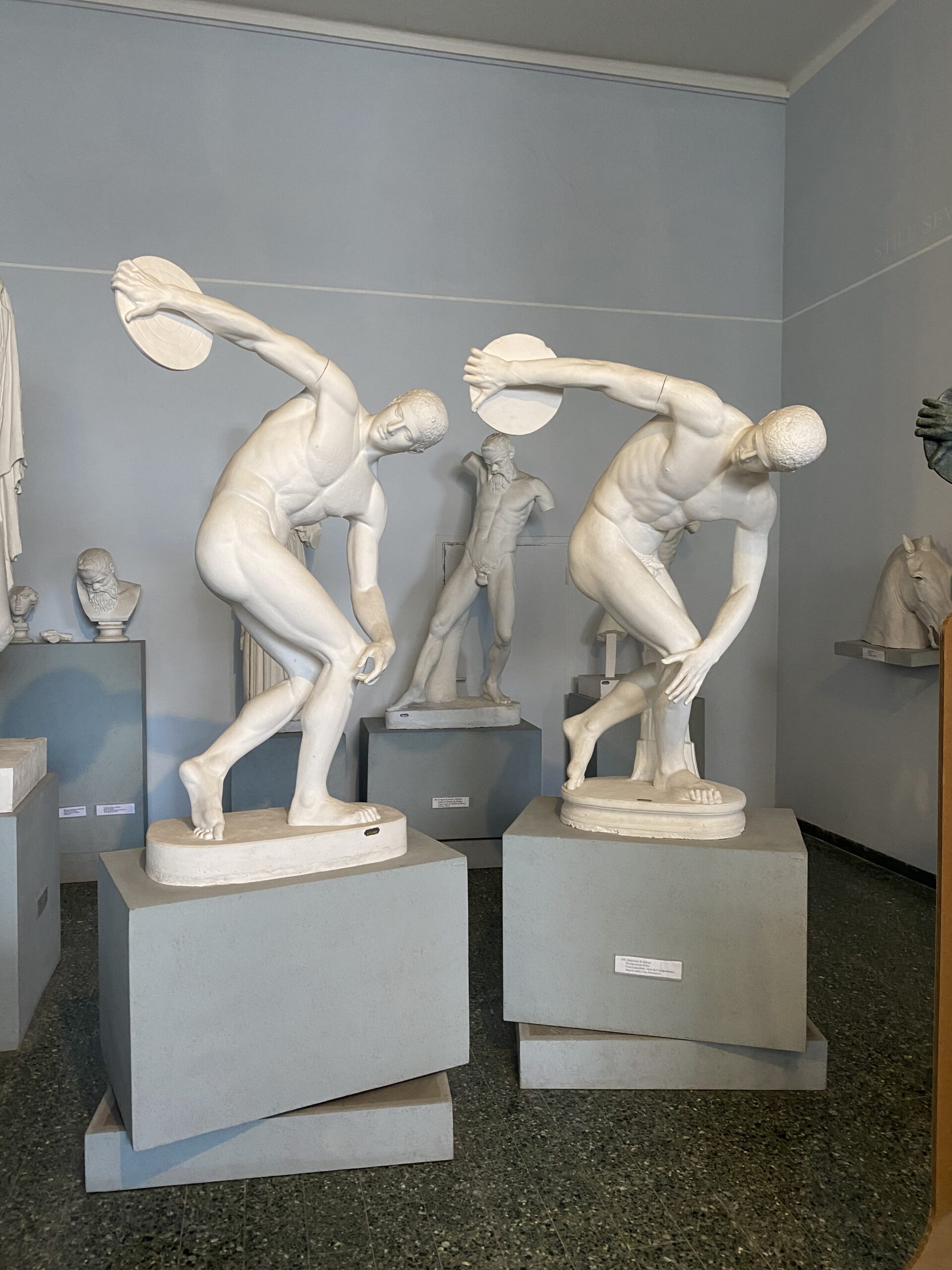 museo arte classica sapienza roma